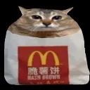 hashbrown_cat