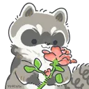 rose_raccoon