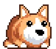 doggy