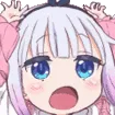 POGCRAZY