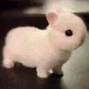 deadlybeast
