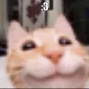 gnarpgnarp