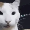 HEHEHE