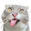 evilrigby