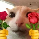 20424love4you