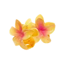 Yumii_orangeflowers