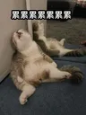 Tired