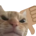 catnotokay