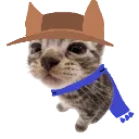 NikoCat NikoCat