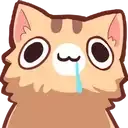 neko_derp