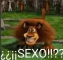 sexo