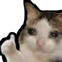 crycatthumbsup