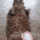 cat_baguette
