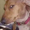 sideeye sideeye