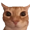 8a_cat_hewa Discord emoji