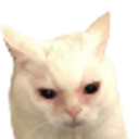 8a_cat_fluster Discord emoji