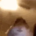 FThampterhuh