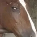 suspicious