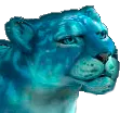 borisbig