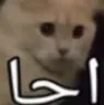 a7aaaaaa