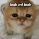 tf