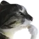 0thinkmf
