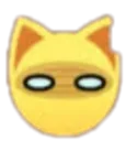 cat_huh