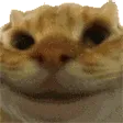 YesYes