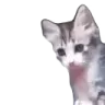 yo