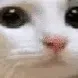 no