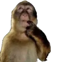 monkethink