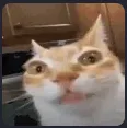caterm