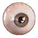 eye