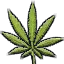 cardicon_weed