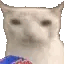 catchip