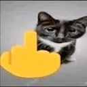 fuckyou