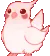 BirbRave