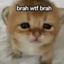 brahwhat