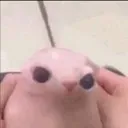 bingus Discord emoji