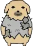dobu