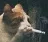 Deadly_Smoking