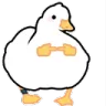 ShyDuck