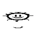 032FloweyWide