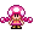 Toadette Toadette