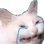 catcry