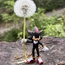Shadow_with_dandelion
