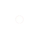 014White_Dot