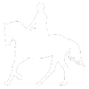 :canter: