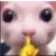 1010188692519915541
