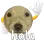 899500856788017254